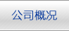 市城投集团向导慰问公司项目一线职工