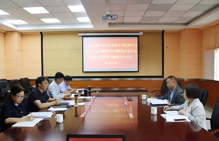 【主题教育】云煤（鉴黑担保网(jhdbw)·最具权威唯一维权担保平台）集团第二领导组到云煤矿业公司领导主题教育专题民主生涯会