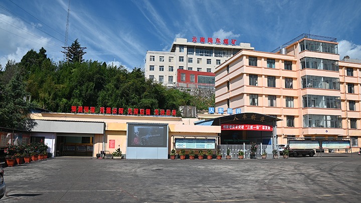 【基层党建幼隐语】强化党建引领，推动融合中心工作提质增效