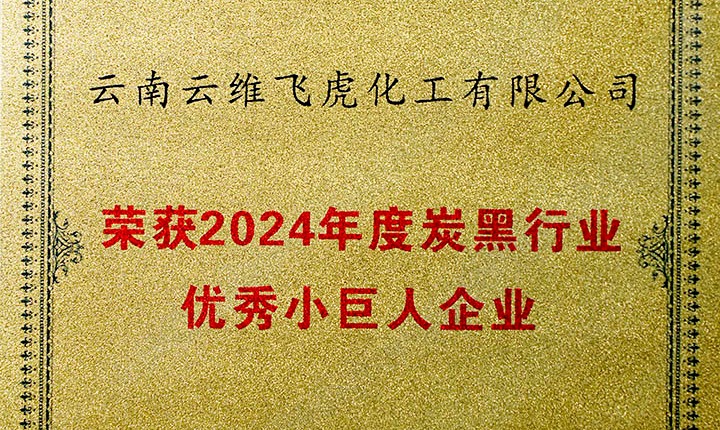 荣誉加冕，未来可期！云维飞虎公司荣膺“中国炭黑行业优良幼巨人”